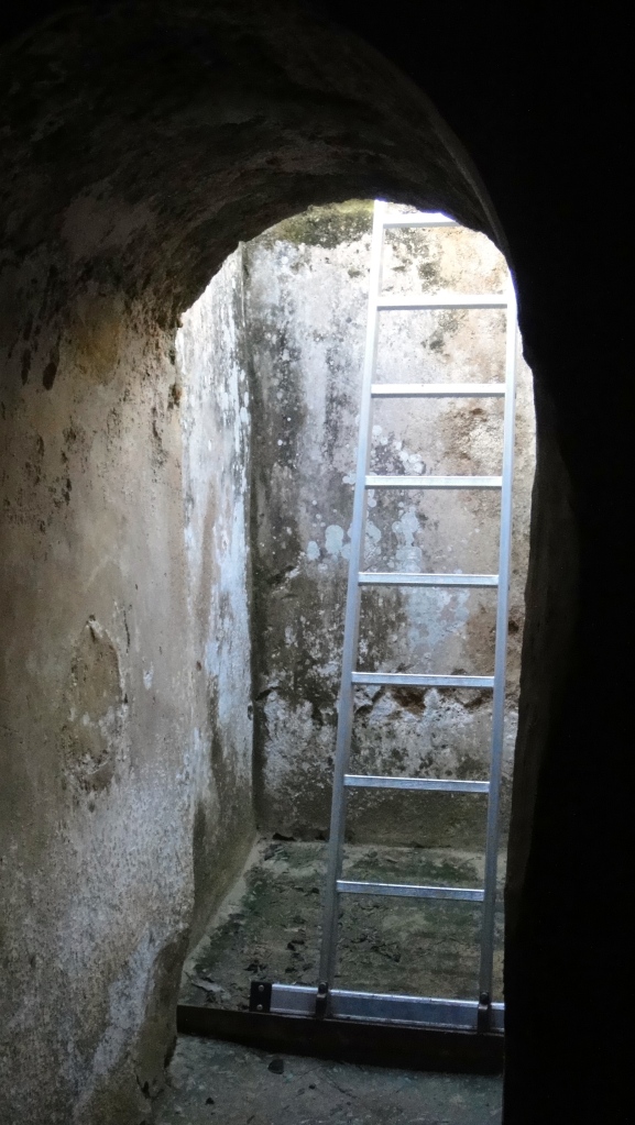 Pro tip: Try not to think about horror movies while climbing down a ladder into an ancient tomb.