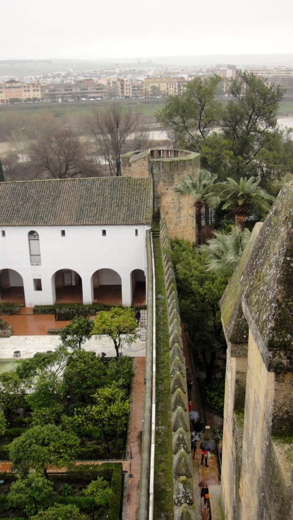 View from one of the towers of the Alcázar.